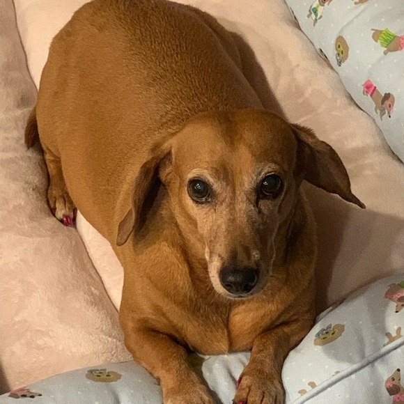 Choose any 3 Items priced $20 & below for $20 provided it’s within the 5lb limit - Picture 3 of 8